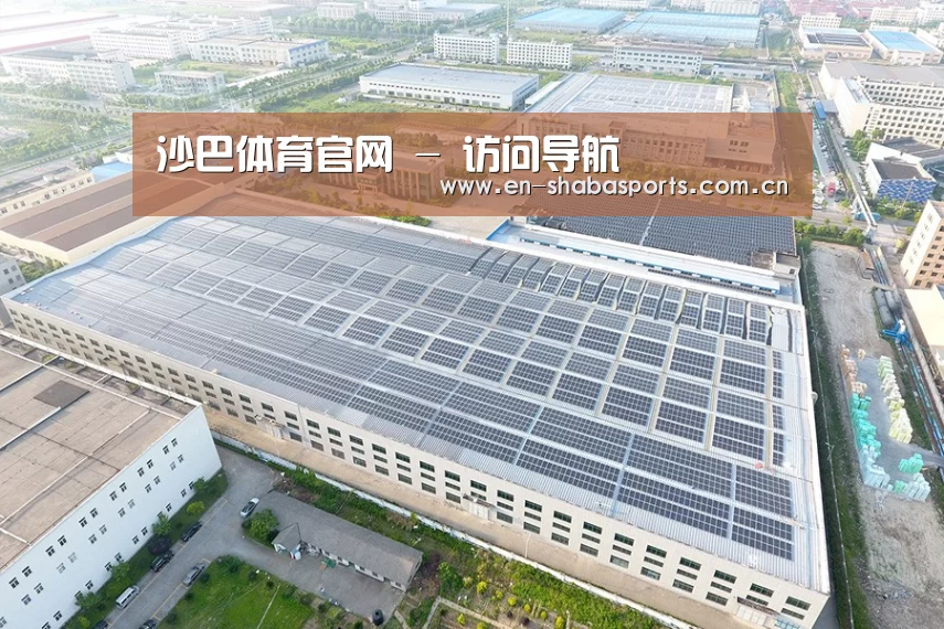 案例展示一