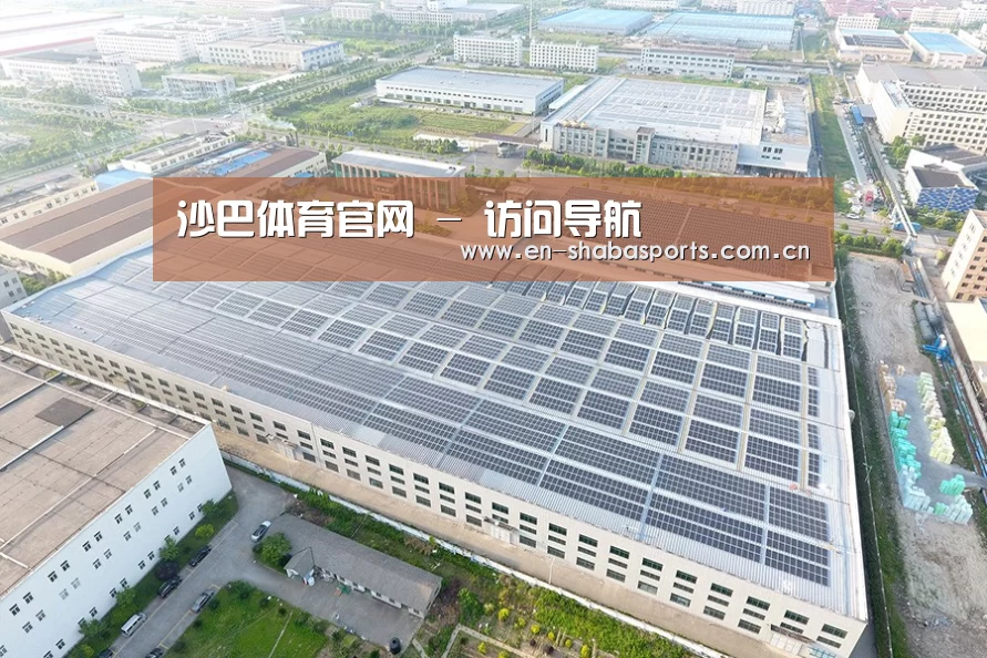 案例展示二