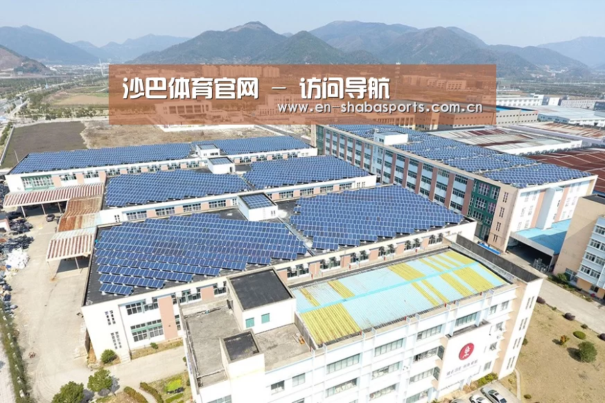案例展示一