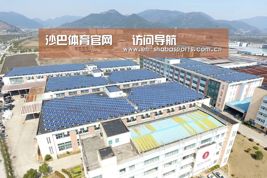 案例展示二