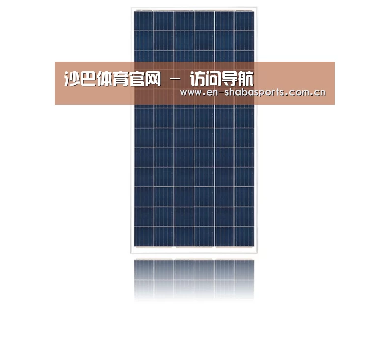 产品名称一
