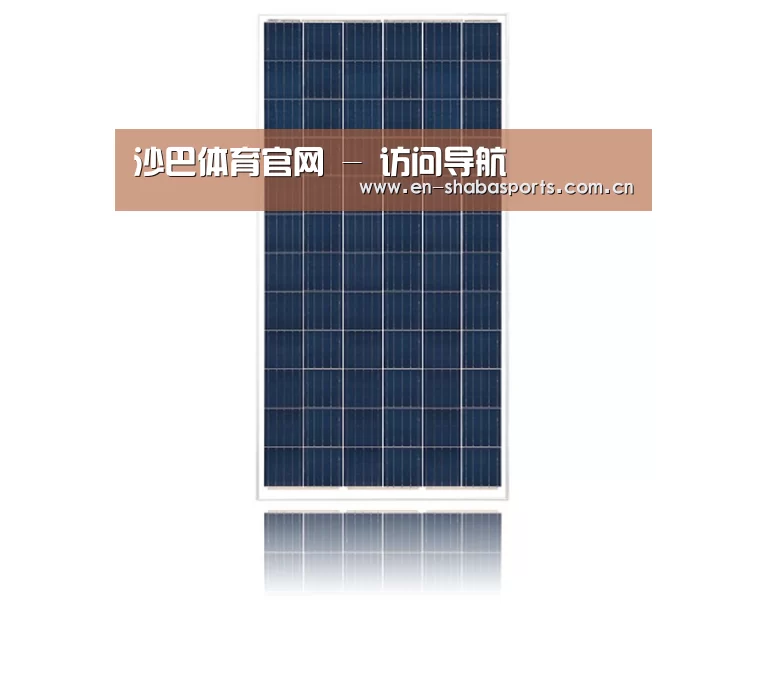 产品名称一