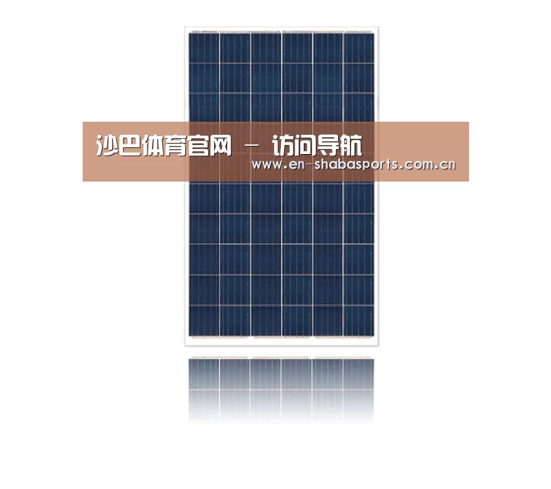 产品名称一