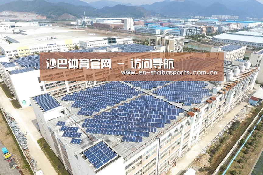 案例展示三