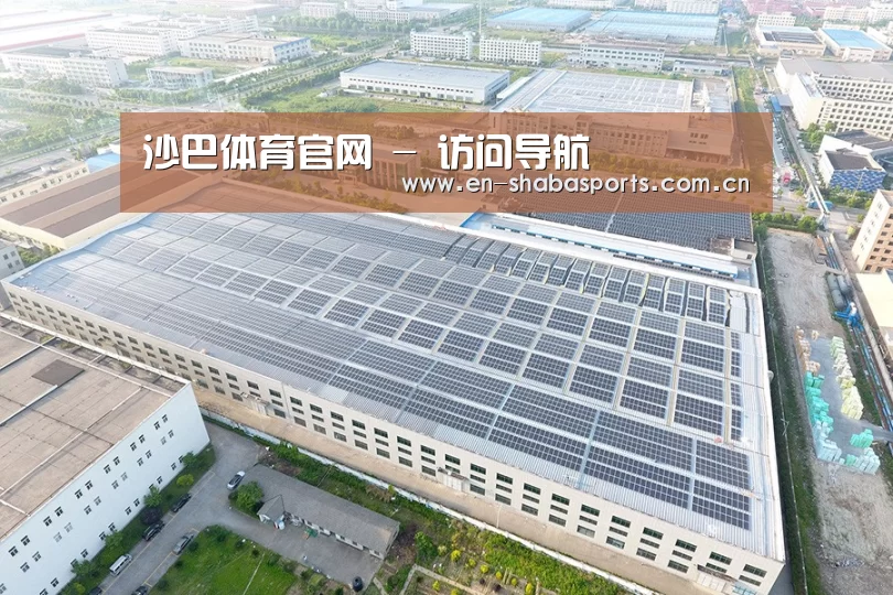 案例展示二