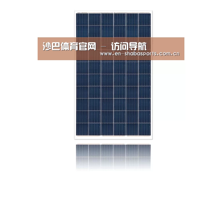 产品名称四