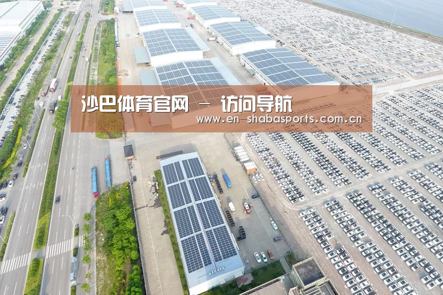 案例展示一