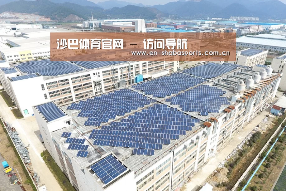 案例展示四