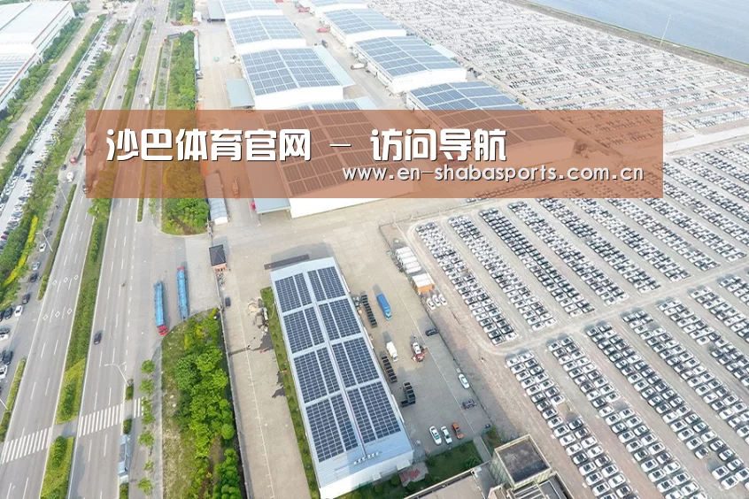案例展示四