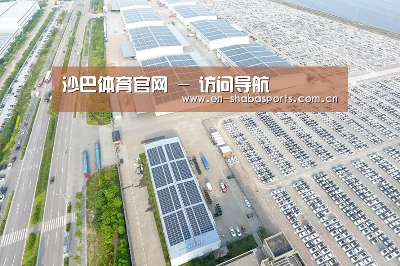 案例展示三