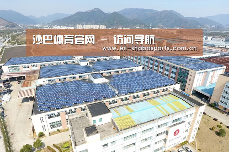 案例展示三