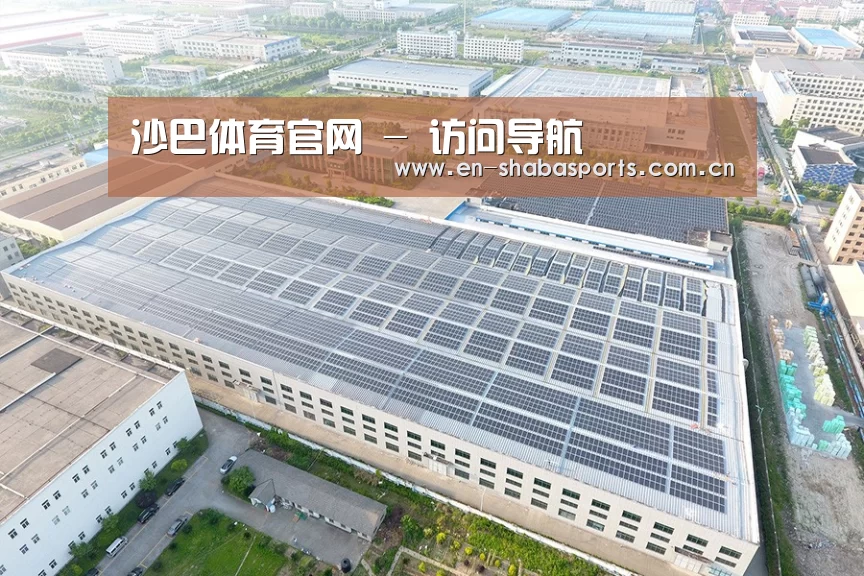 案例展示四