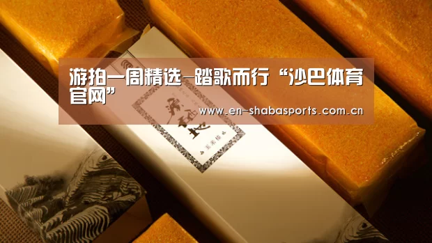 沙巴体育