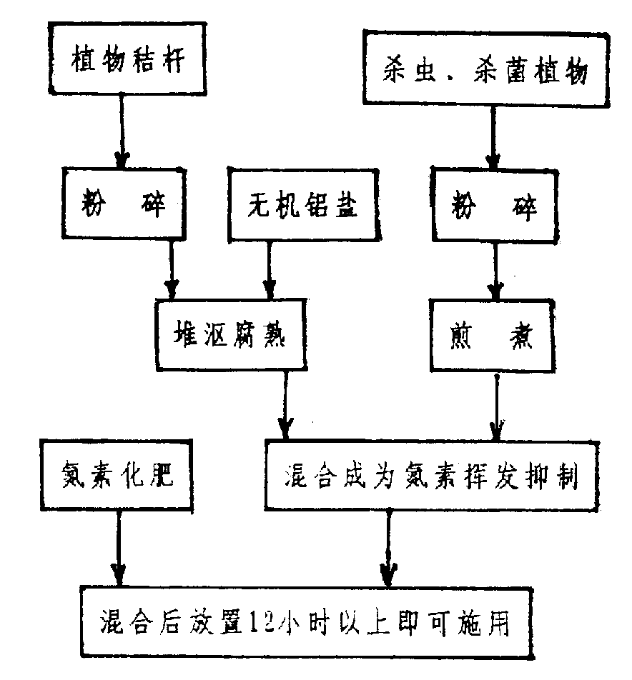 沙巴入口