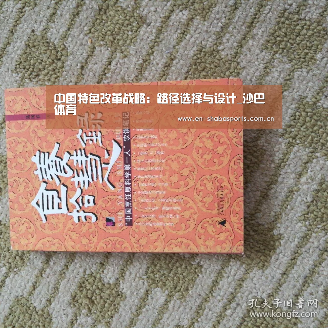 中国特色改革战略:路径选择与设计_沙巴体育(图1) 沙巴体育