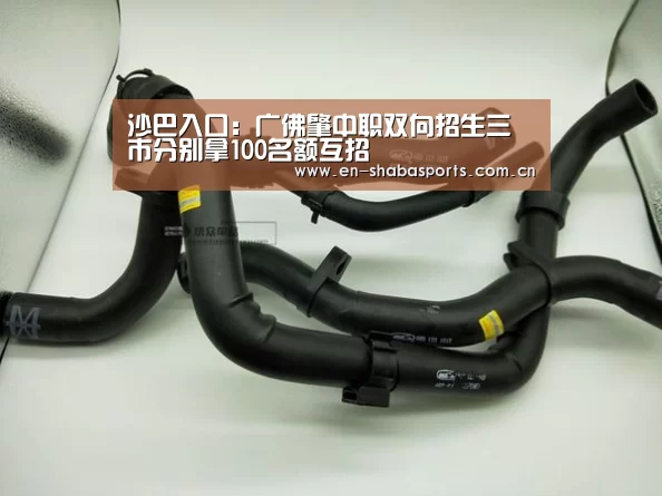 沙巴入口:广佛肇中职双向招生三市分别拿100名额互招(图2) 沙巴体育app