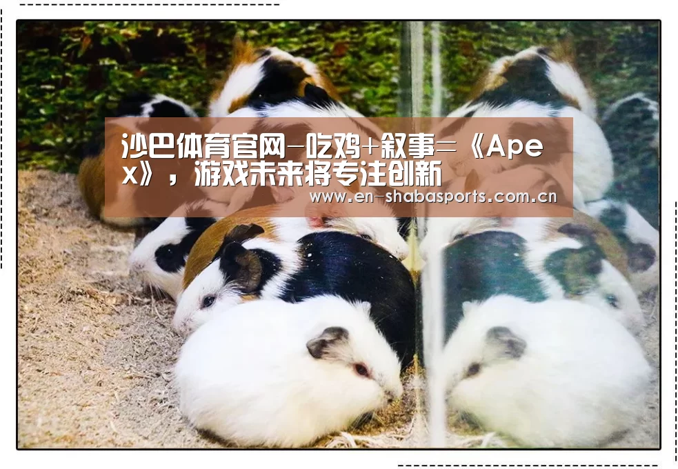 沙巴体育
