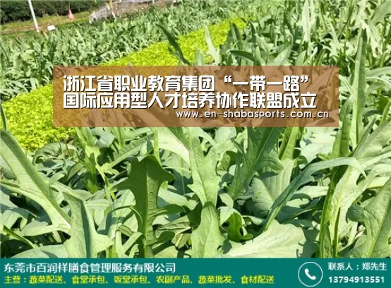 沙巴体育官网