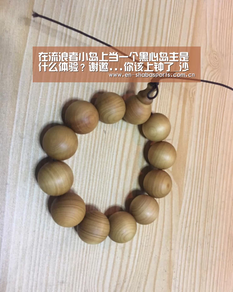在流浪者小岛上当一个黑心岛主是什么体验?谢邀...你该上钟了_沙巴体育app(图4) 沙巴入口