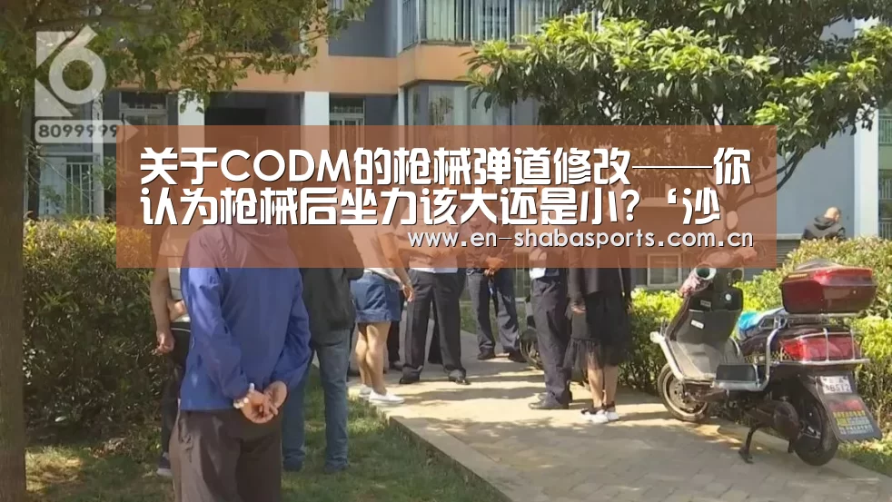 关于CODM的枪械弹道修改——你认为枪械后坐力该大还是小?‘沙巴体育官网’(图3) 沙巴体育app