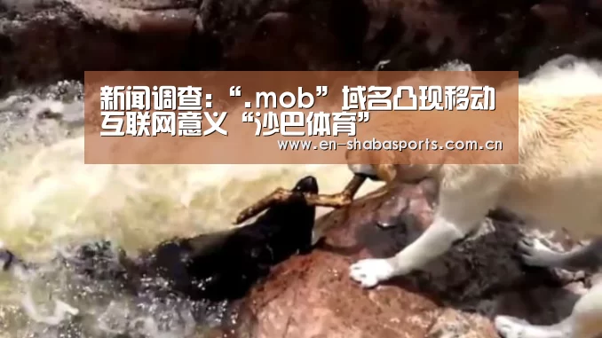 沙巴入口