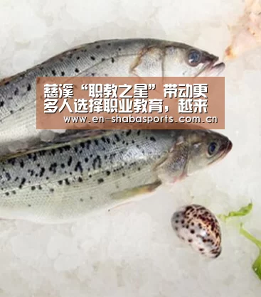 慈溪“职教之星”带动更多人选择职业教育,越来越多职校生受社会青睐|沙巴入口(图1) 沙巴体育app