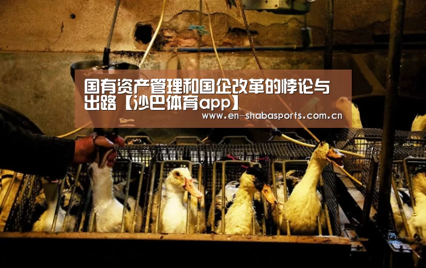 国有资产管理和国企改革的悖论与出路【沙巴