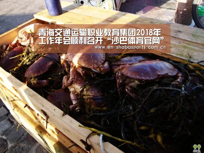 青海交通运输职业教育集团2018年工作年